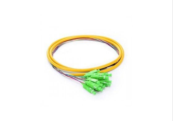 SM SX 0.9mm Jumper Cable Pigtail , 12 Core Short Pigtails With Fan Out Type High Temperature Stability supplier
