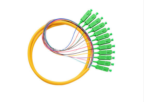 SM SX 0.9mm Jumper Cable Pigtail , 12 Core Short Pigtails With Fan Out Type High Temperature Stability supplier