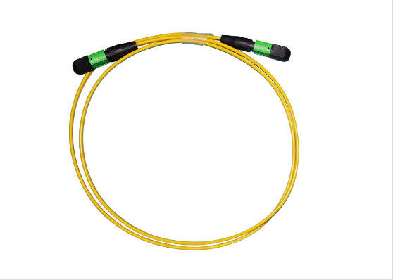 Male / UPC MPO Patch Cord Compact SMF 2 - 24 Cores IS0 / ROHS Listed Durable supplier